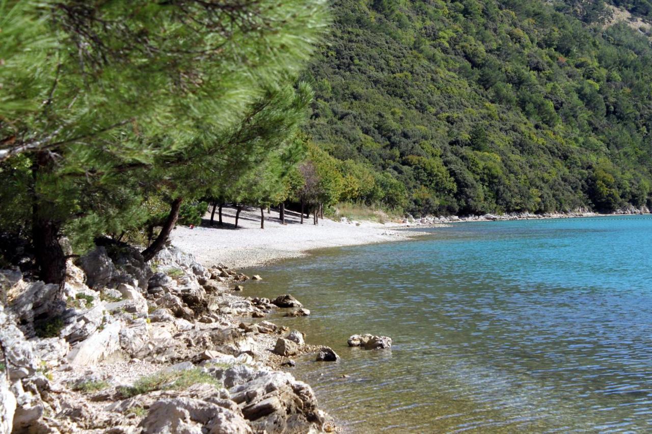 Family Friendly Apartments With A Swimming Pool Cepic, Central Istria - Sredisnja Istra - 11636 Zatka Cepic 外观 照片
