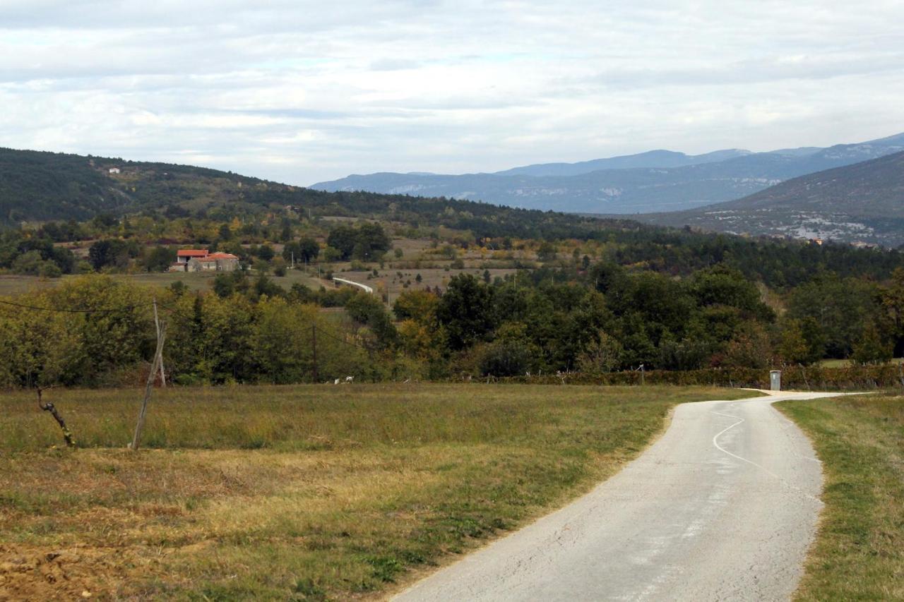 Family Friendly Apartments With A Swimming Pool Cepic, Central Istria - Sredisnja Istra - 11636 Zatka Cepic 外观 照片